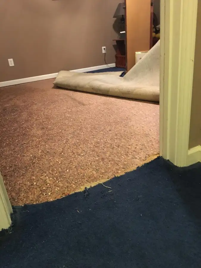 Carpet pad removal revealing water damage during Water Mitigation Services in DeWitt