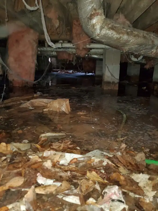 Crawl space flood assessment for Commercial Water Damage Restoration in DeWitt