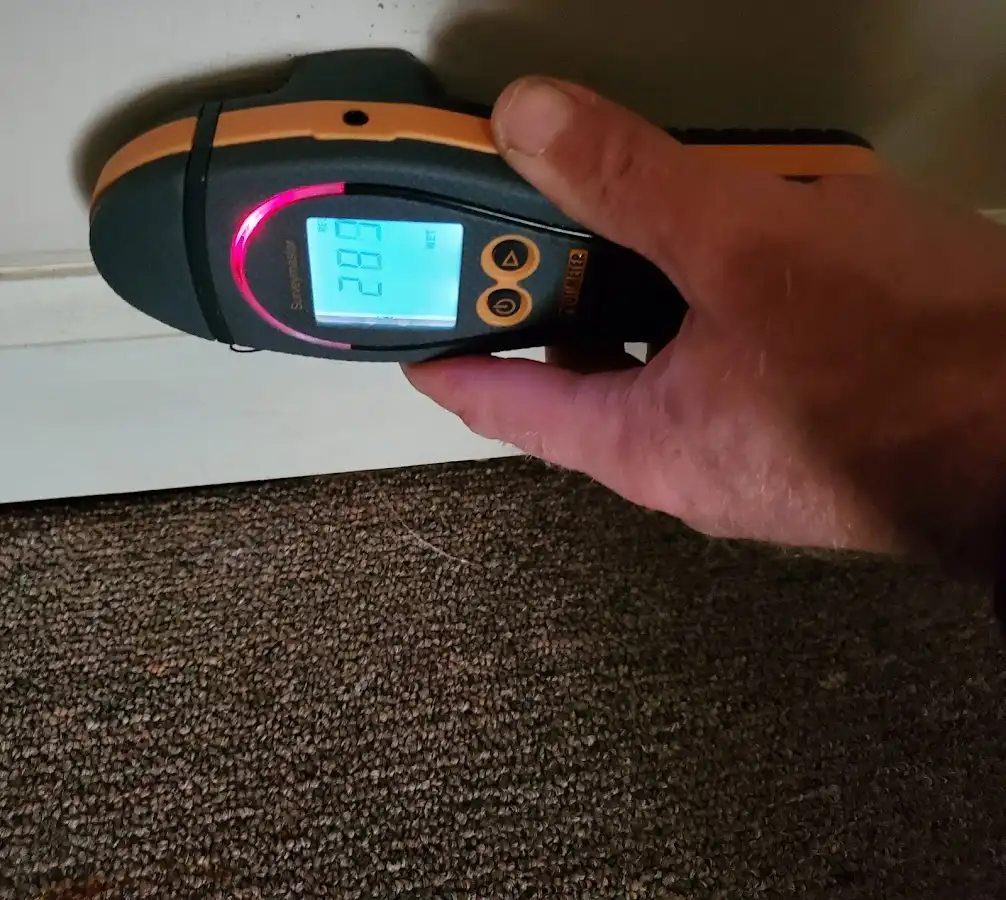 Moisture detection at baseboard during Sewage Cleanup & Sanitation in DeWitt